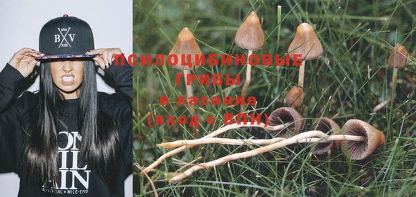 кокаин колумбия Богородицк