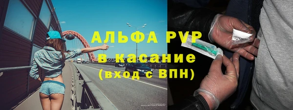 сатива Бородино