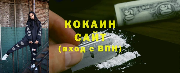сатива Бородино