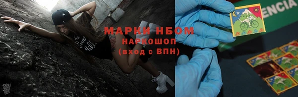 сатива Бородино