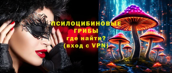 сатива Бородино