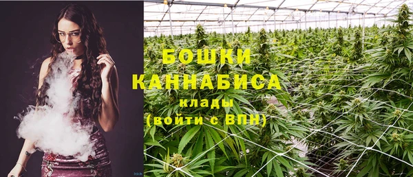 сатива Бородино