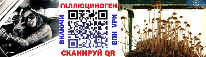 Псилоцибиновые грибы GOLDEN TEACHER  это формула  Воскресенск 